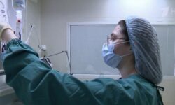 В России число трансплантаций костного мозга и стволовых клеток увеличилось более чем на 50%