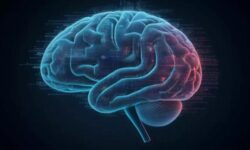 Ученые улучшили карту языковых зон мозга для успешных операций