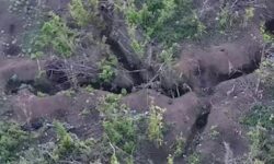Под Угледаром российские штурмовики захватили позиции ВСУ