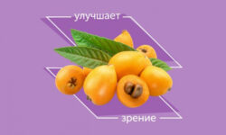 Что за фрукт мушмула