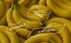 Чем полезны бананы
