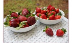 Врач рассказала, какие продукты помогут снизить шансы на появление рака