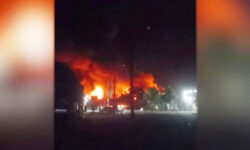 Российские военные освободили Зеленый Гай в ДНР и Малиевку в Днепропетровской области