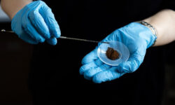 Nature Medicine: лечение рака до 15:00 может помочь пациентам прожить дольше