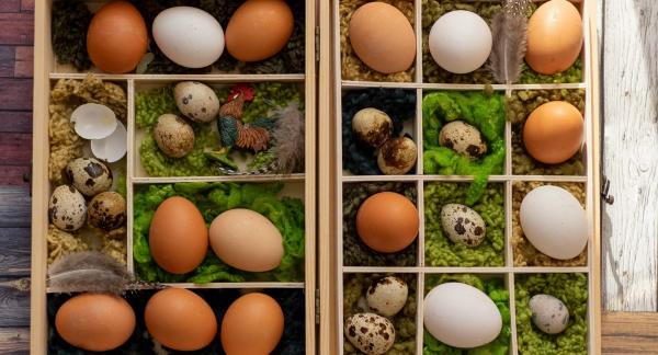 Перепелиные яйца: маленький продукт с большой пользой для рациона