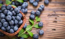 Черника: польза для здоровья и зрения и вкусные рецепты